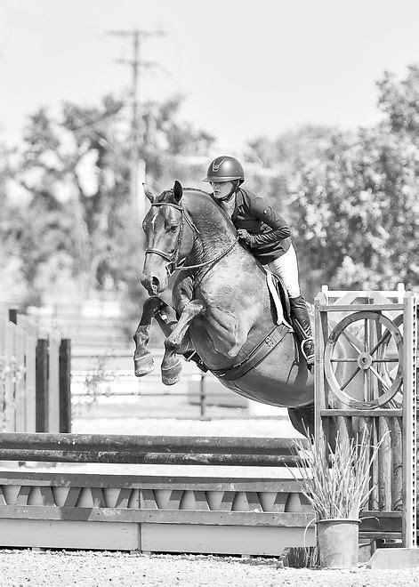 steele yard hunter